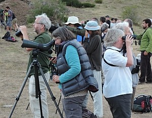 Bear-watching at La Peral © Teresa Farino